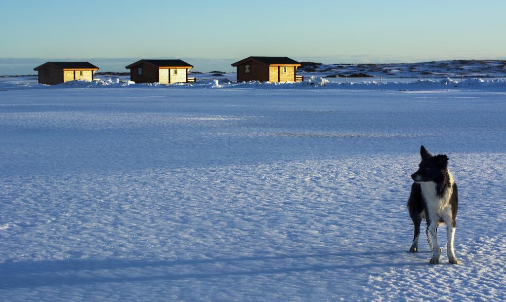 Mid Hvoll Cottages Suthur Hvoll Esterno foto
